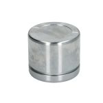 Zuiger, remklauw AUTOFREN SEINSA D025599