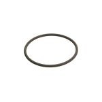Gummiring BOSCH F 00N 201 306