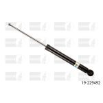 Stoßdämpfer BILSTEIN 19-229492
