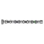 Nockenwelle FRECCIA CM05-2259