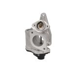 AGR Ventil BORG WARNER WA710938D/1