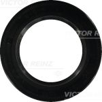 Vedante de óleo, bomba de injeção REINZ 81-20002-10