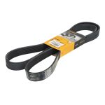 Correia trapezoidal estriada CONTITECH 179591-CON