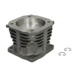 Kolben und Zylinderlaufbuchse, Druckluftkompressor DT Spare Parts 4.90231