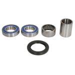 Kit de roulements de roue ALL BALLS AB25-1772