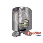 Zuiger, remklauw AUTOFREN SEINSA D025122LK