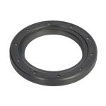 Keerring, automatische transmissie ZF 0734300240