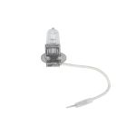 Glühlampe, Abbiegescheinwerfer ORIGINAL OSRAM 64151-1BL