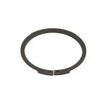 Circlip ZF 0630501061ZF
