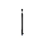 Kantelcilinder, cabine DT Spare Parts 3.84023