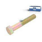 Perno de ballesta DT SPARE PARTS 5.13155