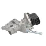 EGR-klep DELPHI EG10533-12B1