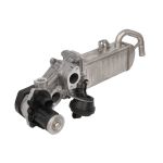 AGR Ventil BORG WARNER WA710861D
