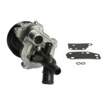 Wasserpumpe Schaeffler INA 538 0262 10