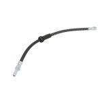 Bremsschlauch DELPHI LH7961