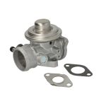 AGR Ventil BORG WARNER 7293D