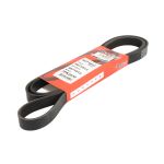 Cinghia a V USA 7 PK 2573