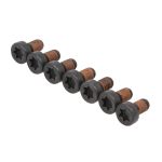 Juego de tornillos para volante de inercia LUK 411 0283 10