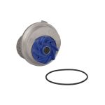 Wasserpumpe SKF VKPC 85611