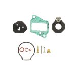 Reparatieset, carburateur SIERRA 18-7769