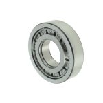 Lager, Schaltgetriebe EURORICAMBI 98530677