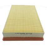 Filtro aria FLEETGUARD AF4379