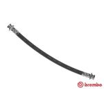 Latiguillo de freno BREMBO T 79 031