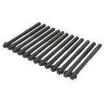 Jeu de boulons de culasse REINZ 14-19508-01