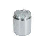 Zuiger, remklauwcilinder AUTOFREN SEINSA D0-25605