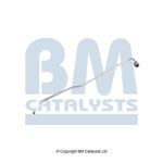 Conducto a presión, sensor presión (filtro partículas) BM CATALYSTS PP11191A