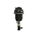 Suporte, suspensão pneumática ARNOTT EUROPE AS-3237