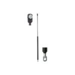 Gasfeder, Heckklappe BPART BG0804011