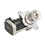 AGR Ventil BORG WARNER 7625D/1