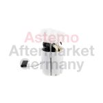 Brandstoftoevoereenheid HITACHI 2502704