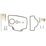 Reparatieset, carburateur ALL BALLS AB26-1531