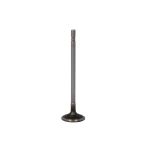 Einlassventil FRECCIA R8003/SCR