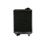 Radiator, motorkoeling THERMOTEC D7AG021TT