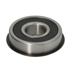 Lager FERSA 63042RSNR /FERSA/