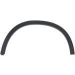 Aile - moulure / protection BLIC 5703-04-3533471P