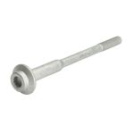Tornillo, soporte inyector ENGITECH ENT250846