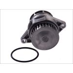 Vattenpump MAGNETI MARELLI 352316171173