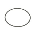 Sicherheitsring ZF 0750106078ZF