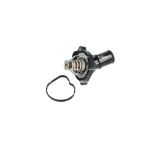 Thermostat, Kühlmittel NRF 725000