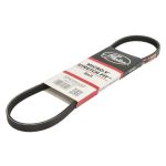 Keilrippenriemen GATES GAT3PK695SF