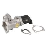 AGR Ventil BORG WARNER 710773D