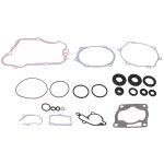 Set di guarnizioni motore WINDEROSA W8110008