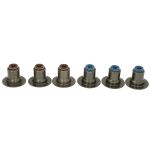 Dichtungssatz, Ventilschaft REINZ 12-21579-01