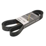 Keilrippenriemen DAYCO 9PK2100HD