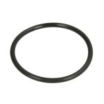 Gummi-O-Rings DT Spare Parts 6.30069