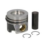 Pistón MAHLE 028 PI 00100 001